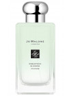 JM Osmanthus Blossom 2020