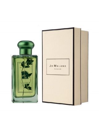 JM Lavender & Coriander